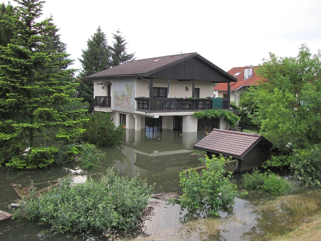 So sieht es derzeit in Wördern zwischen Donau und Hochwasserschutzdamm aus: